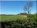 Farmland at Inchbelle Farm