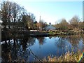 Tintock from across the Forth and Clyde Canal