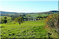 The upper Garren Brook valley