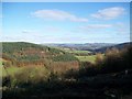 View from Brycheiniog Forest