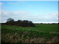 Looking across the fields from the roadside dike