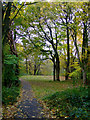 Footpath at Glen Avenue