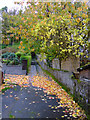 Footpath to Glen Avenue