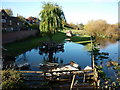 The beer garden at the Ferry Inn, Cawood