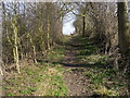 Chiltern Way