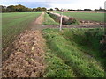 Footpath towards Sidlesham