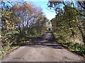 New Way crosses Bickerstaffe Moss