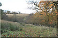 Farm track near Muirhead