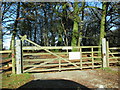 Gate by the path to Wimball Lake from the carpark on Haddon Hill