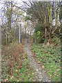 Footpath - off Parkgate