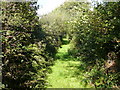 Landsker Borderlands Trail east of Efailwen