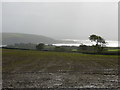 Ploughed field above Llansteffan