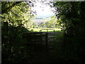 Kissing gate at edge of George