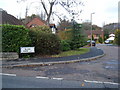 Blair Park from Spital Road