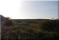 Kemsley Marshes