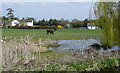 Pix Farm from the canal