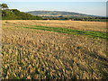 Bredon Hill View from Broad Hill