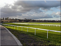 SJ3965 : Chester Racecourse, The Roodee by David Dixon