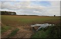 Cultivated field by the A618 junction.