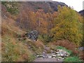 NN1669 : Glen Nevis Gorge path by Richard Webb