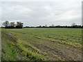 Undefined footpath across a field