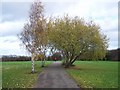 Cycling In Mickleover Meadows Nature Reserve