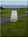 Trig pillar on Gunsgreenhill