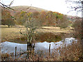 Reflections of the Ochils