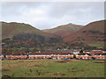 Houses on Hareburn Road, Tillicoultry