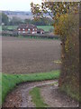 Downland Near Powderham Castle