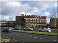 Council Housing - Chervil Rise