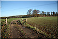 Track at Belton Ashes