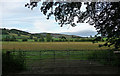 SO3687 : Farmland near Lydbury North by Stephen Richards