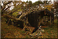 Ruined wartime building near Forres