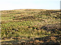 NY7457 : Dykerow Fell above Slatequarry Cleugh by Mike Quinn