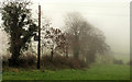 Misty fields, Banbridge (2)