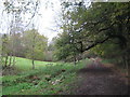 Footpath to Saltwood Castle (3)