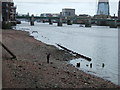 Beachcomber on the bank of the Thames