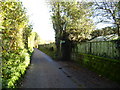 Footpath on Back Lane