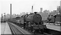 Up fast freight train passing Royston & Notton station