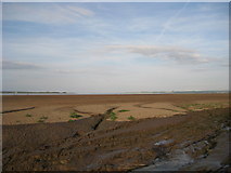 SE9224 : Pudding Pie Sand looking towards the Humber Bridge by Jonathan Thacker