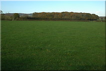 SO7014 : Farmland near Westbury by Philip Halling