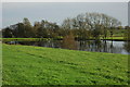 Pool in a field, near Flaxley