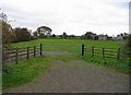 Grass and shed