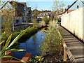 A watery new housing development