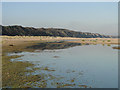 TM5386 : Shallow brackish lagoon on the beach at Kessingland by Adrian S Pye