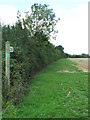 Footpath And Sign