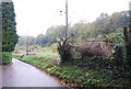 Footpath off the North Downs Way (Pilgrims