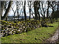 Old dry stone wall near Llandegla