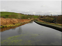 SD7506 : Manchester, Bolton & Bury Canal, Prestolee Aqueduct by David Dixon